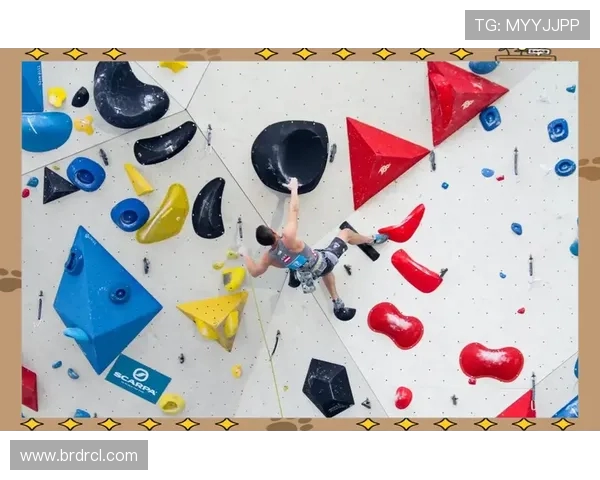 从零基础到高手：全面解析攀岩比赛的技巧与经验分享